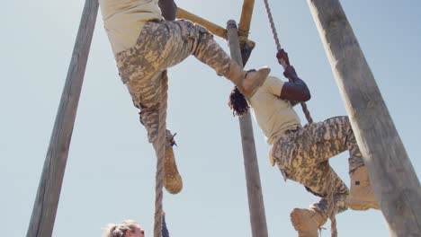 three diverse fit male and female soldiers climbing ropes on army obstacle course