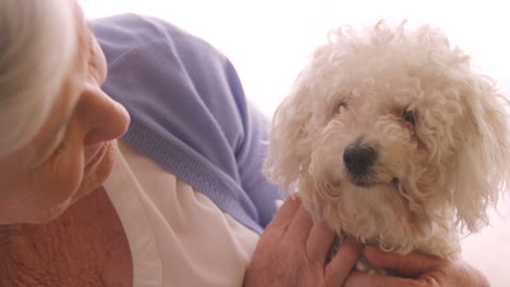 senior woman petting a dog