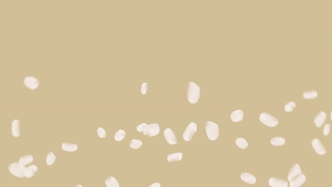 volando mucho arroz en fondo marrón. granos de arroz blanco. arroz glutinoso. vegetariano. comida saludable. animación de bucle 3d de arroz girando.