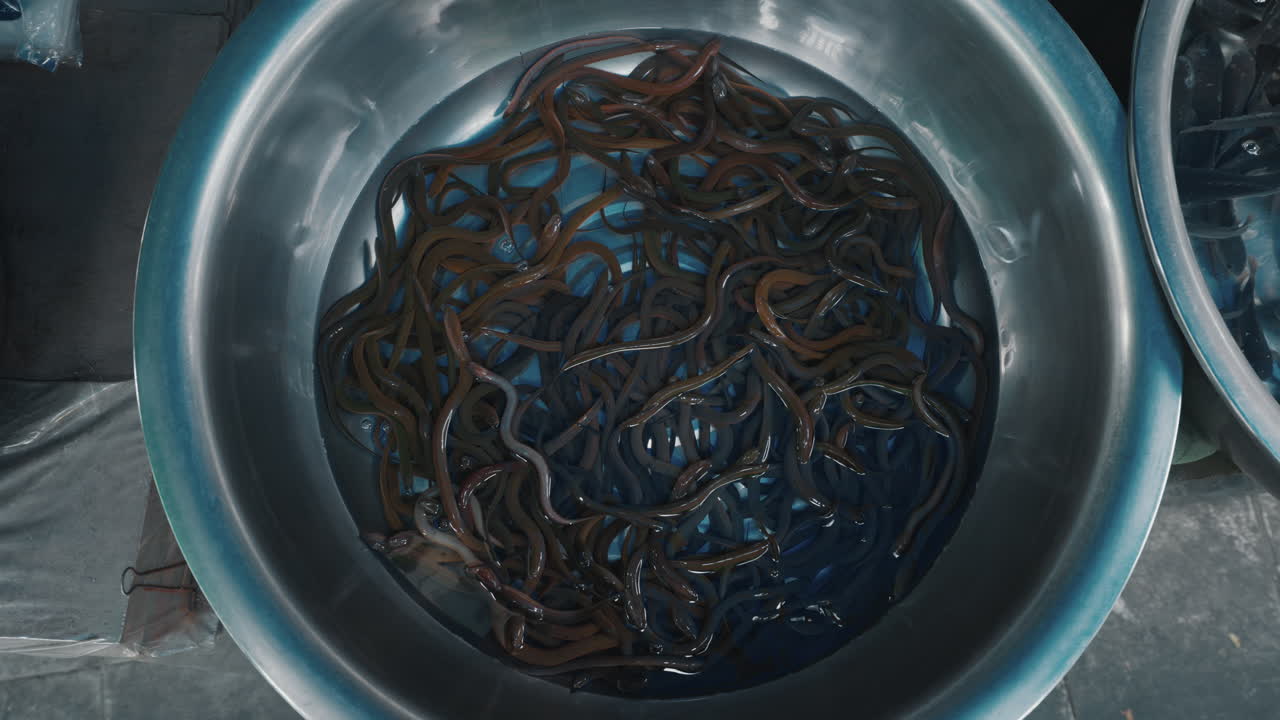 Eels in a Metal Bowl at a Market