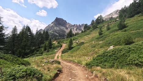scenic hiking trail in alpe devero surrounded by lush alpine vegetation and dramatic rocky peaks under a bright summer sky