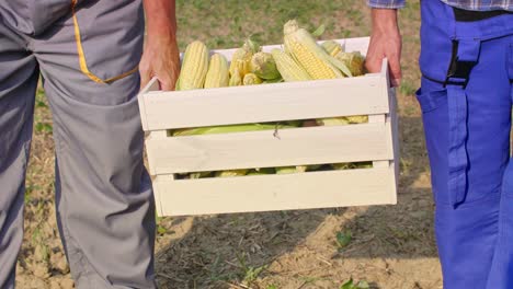 agricultores que sostienen una caja llena de mazorcas de maíz
