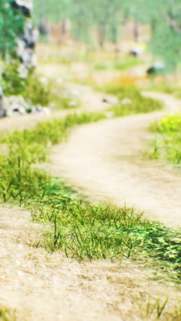 a winding dirt path through a lush forest