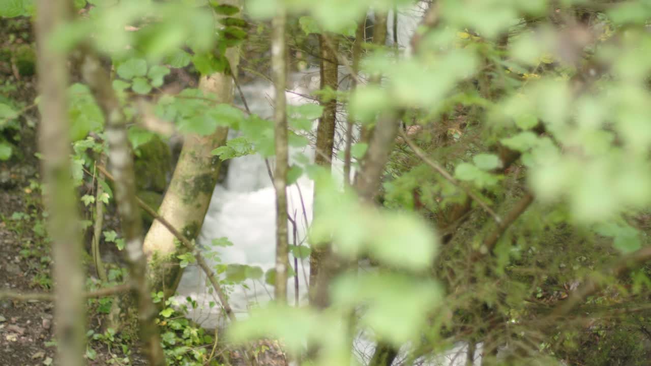 주변에 이끼와 풀이 있는 숲의 작은 폭포