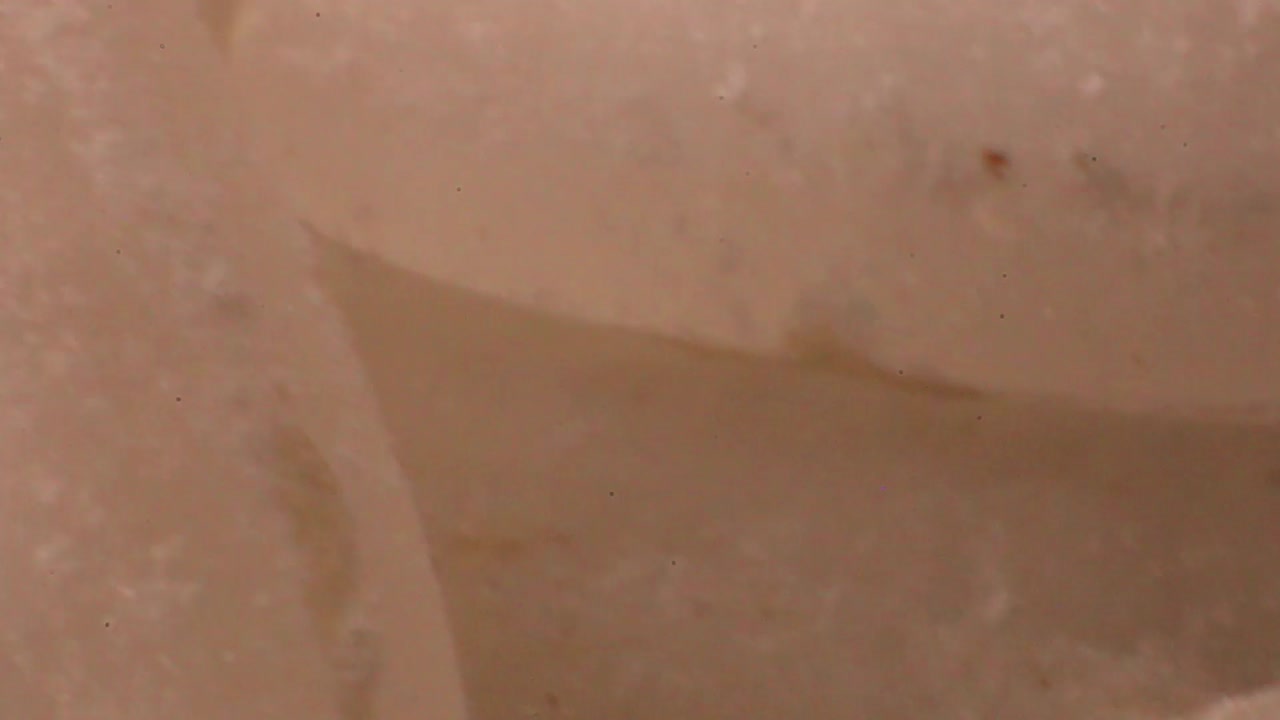 흰 쌀의 추가 근접 촬영