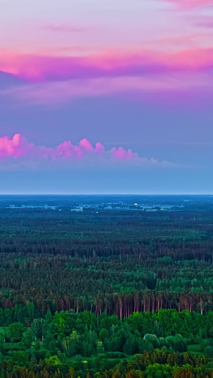 Nuvole colorate fluttuano sopra un vasto paesaggio forestale al tramonto in un timelapse verticale