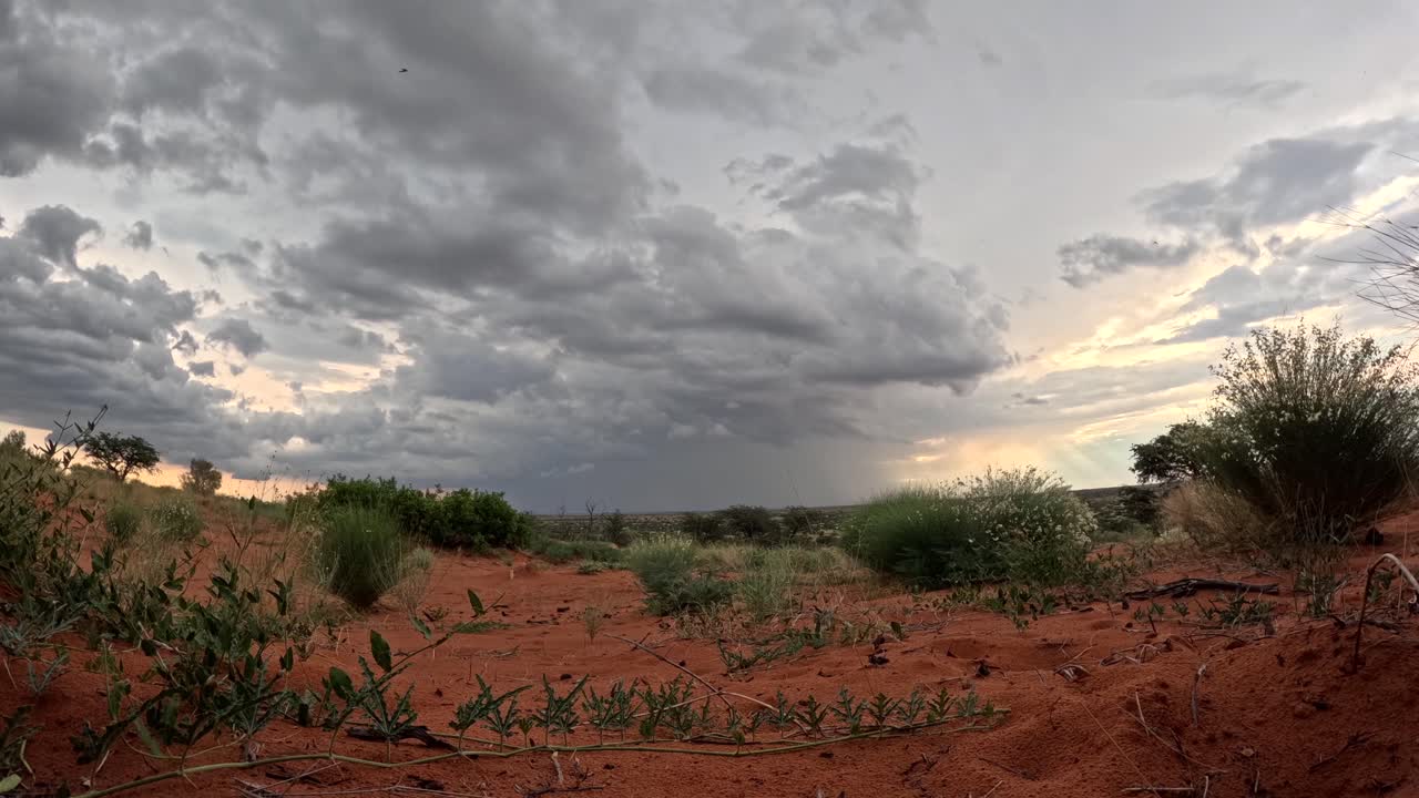Questo timelapse cattura la danza aggraziata delle nuvole e una tempesta che si forma attraverso il paesaggio arido africano del deserto del Kalahari meridionale.