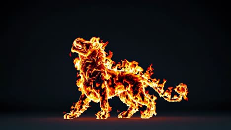 burning lion