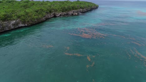 Rotalgen-Auf-Der-Meeresoberfläche-In-Der-Nähe-Der-Küste-Der-Insel-Catalina