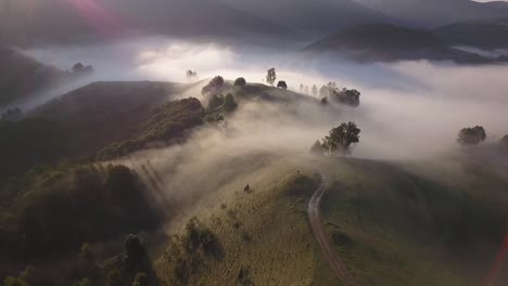 aerial hyperlapse showing the beauty of the nature