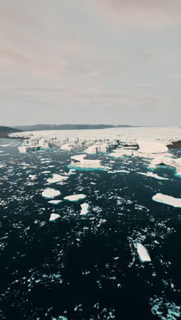 icebergs in arctic waters
