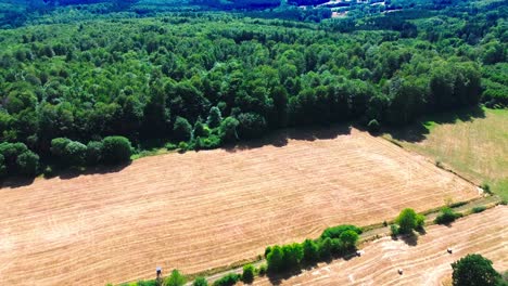 Drones-Aéreos-Disparados-Sobre-Tierras-De-Cultivo-Y-Bosques-En-Verano,-4k