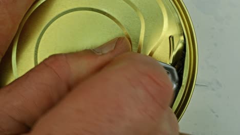 hands tear off lid in tin can with canned sprats in vegetable oil.