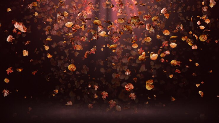 Looped Light Rays Background with Autumn Leaves Leaf Falling on the Ground Loop