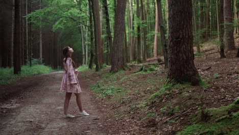 young woman looking up on trees in the forest