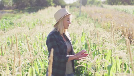 Video-of-happy-caucasian-woman-using-tablet-in-field-on-sunny-day