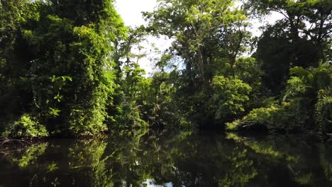 aerial drone shot: the tortuguero canals in costa rica