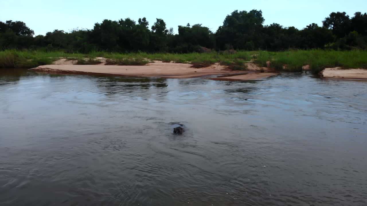 River with sandy banks and lush greenery