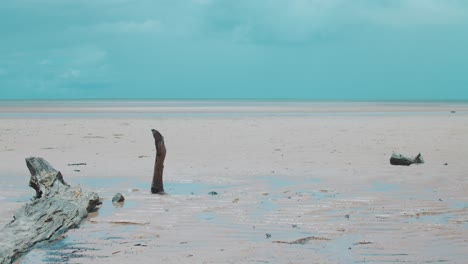 Troncos-Y-Ramas-Muertas-Se-Sientan-En-La-Arena-Mojada-Mientras-Pequeñas-Venas-De-Agua-Se-Extienden-Desde-La-Orilla-De-La-Playa-De-Marea-Baja-Hasta-El-Océano-Distante-Donde-Se-Está-Formando-Una-Tormenta-Furiosa