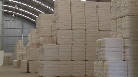 muchos paquetes de algodón apilados dentro de un edificio industrial listos para la exportación