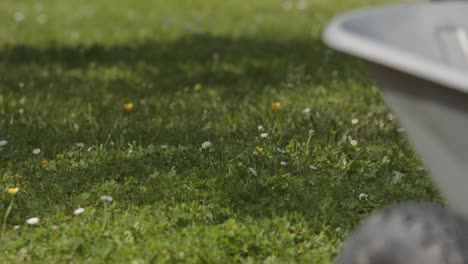 un granjero con zapatillas camina por su prado.