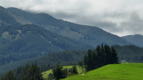 drone shot of green fields and forested mountains, new zealand