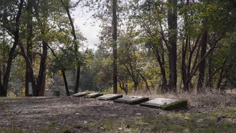 Fila-De-Lápidas-En-El-Claro-Del-Bosque---Cementerio-De-Jacksonville-En-Oregon---4k