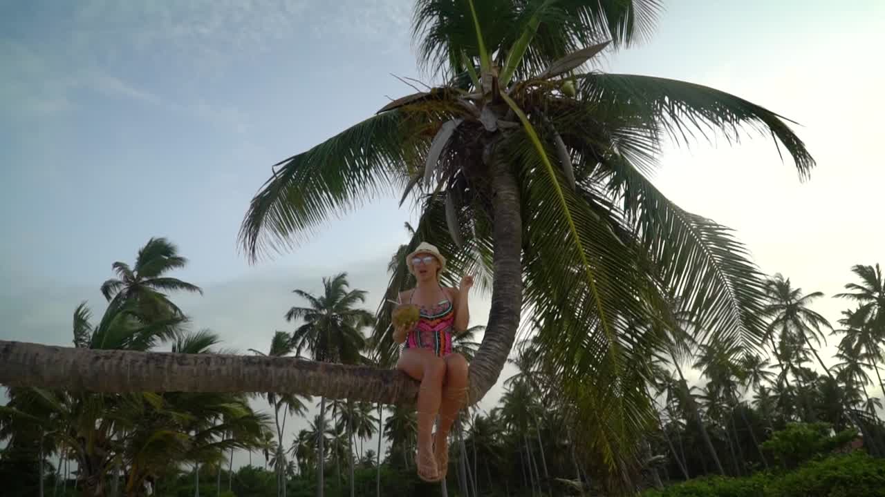 A beautiful girl is sitting on the palm tree and drinking a cocktail from a coconut