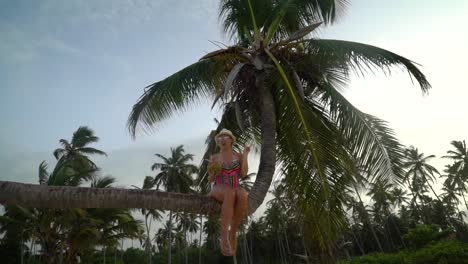 a beautiful girl is sitting on the palm tree and drinking a cocktail from a coconut