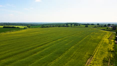 Drone-footage-of-English-fields