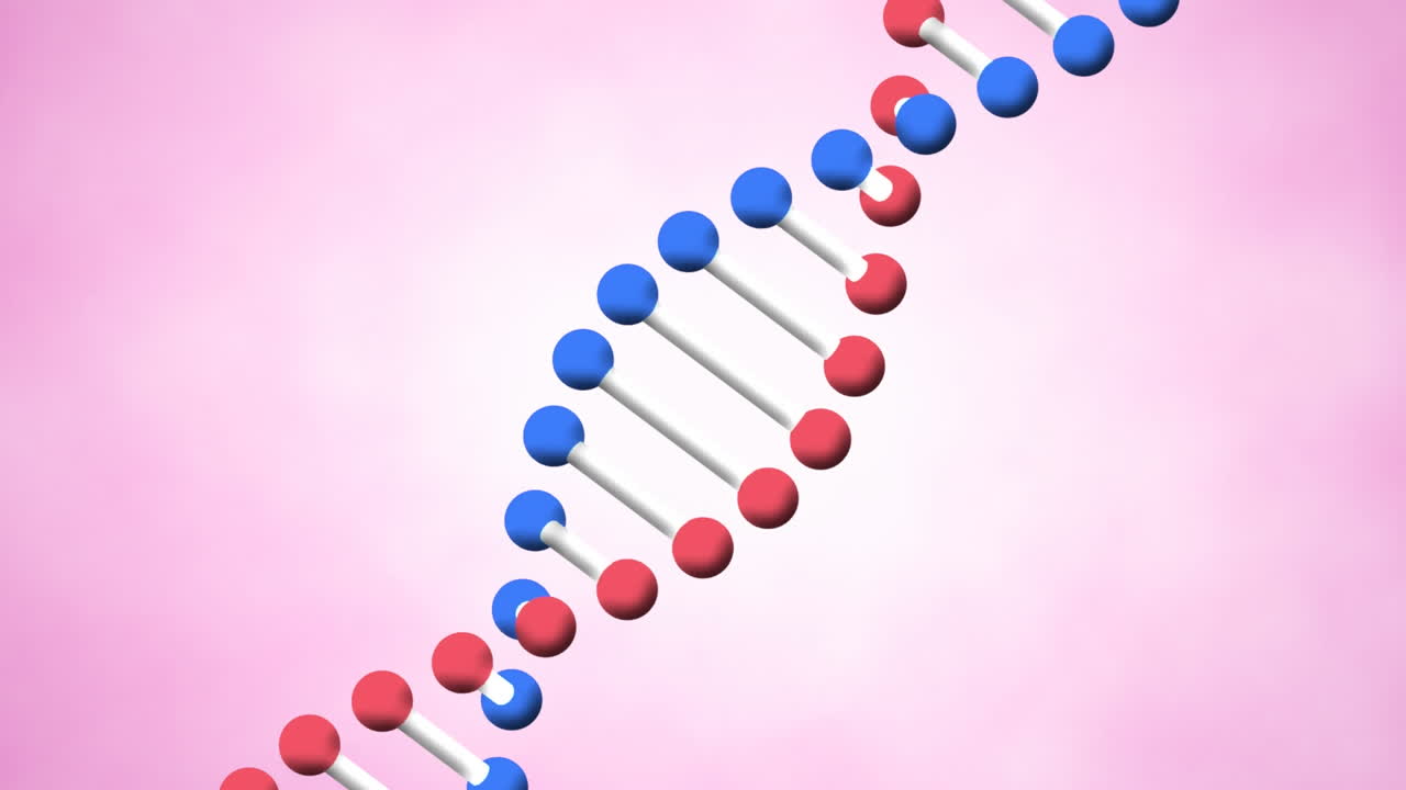 Animazione di un filamento di DNA 3D che ruota su sfondo rosa.