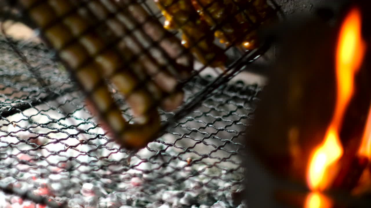 Meat skewers and traditional sausage on grid being barbecued on hot coals, tele