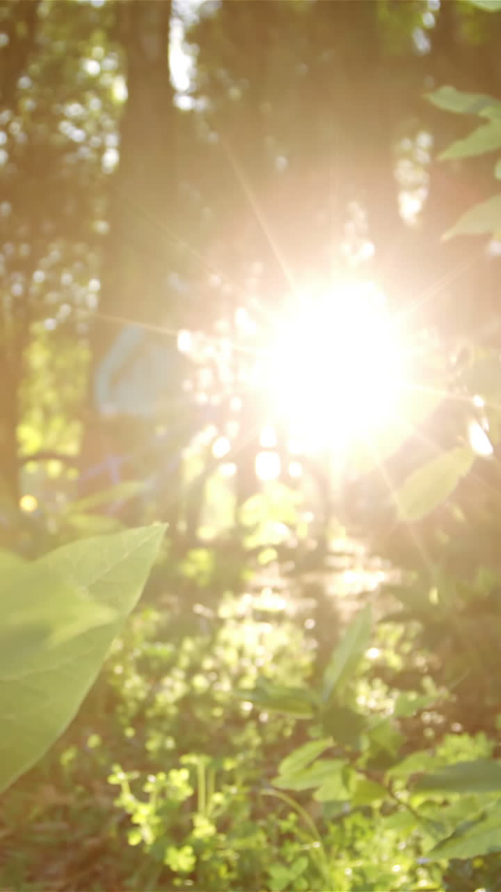 горный велосипедист ходит с велосипедом