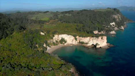 AERIAL:-Mares-Leg,-Coromandel,-New-Zealand