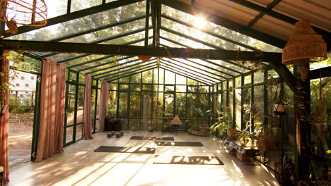 sunlight streaming into glass house yoga studio with mats and plants