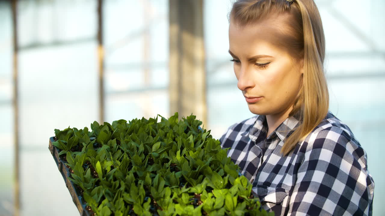 joven botánica examinando una planta en maceta 20