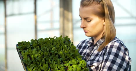 young female botanist examining potted plant 20