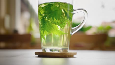 herbal tea brewing green leaves in a glass