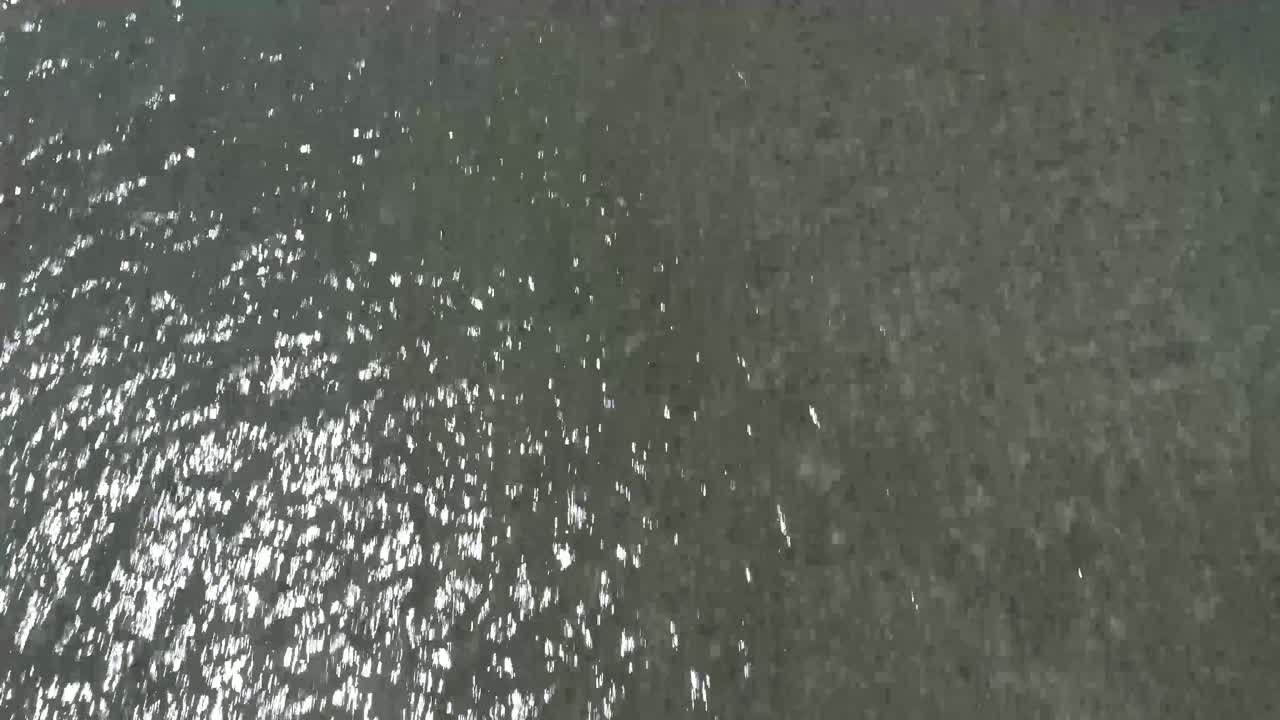 맑은 하늘과 많은 햇빛이 있는 아름다운 산호초의 공개 사진