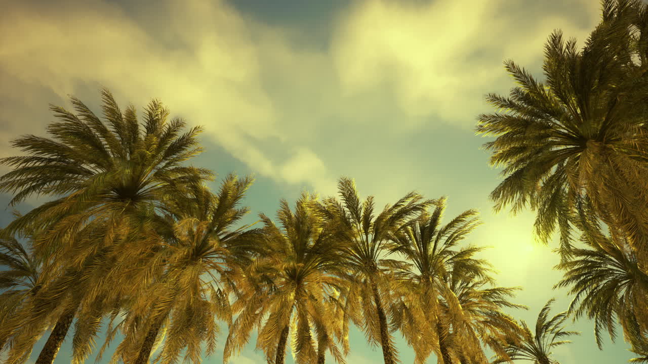 Palm trees sway under bright sun in a serene landscape during sunset