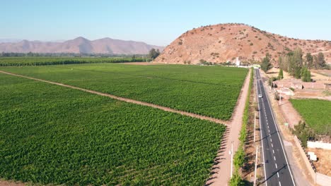 sprawling lush vineyards from maipo valley, car crossing road nearby, chilean wines production