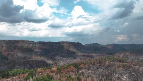 vista aérea del paisaje devastador después de un incendio forestal, bosque quemado en las colinas montañosas, disparo de drones