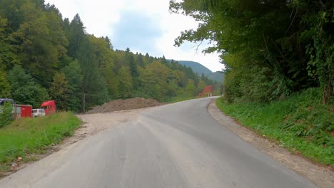 car driving on the forest road. pov