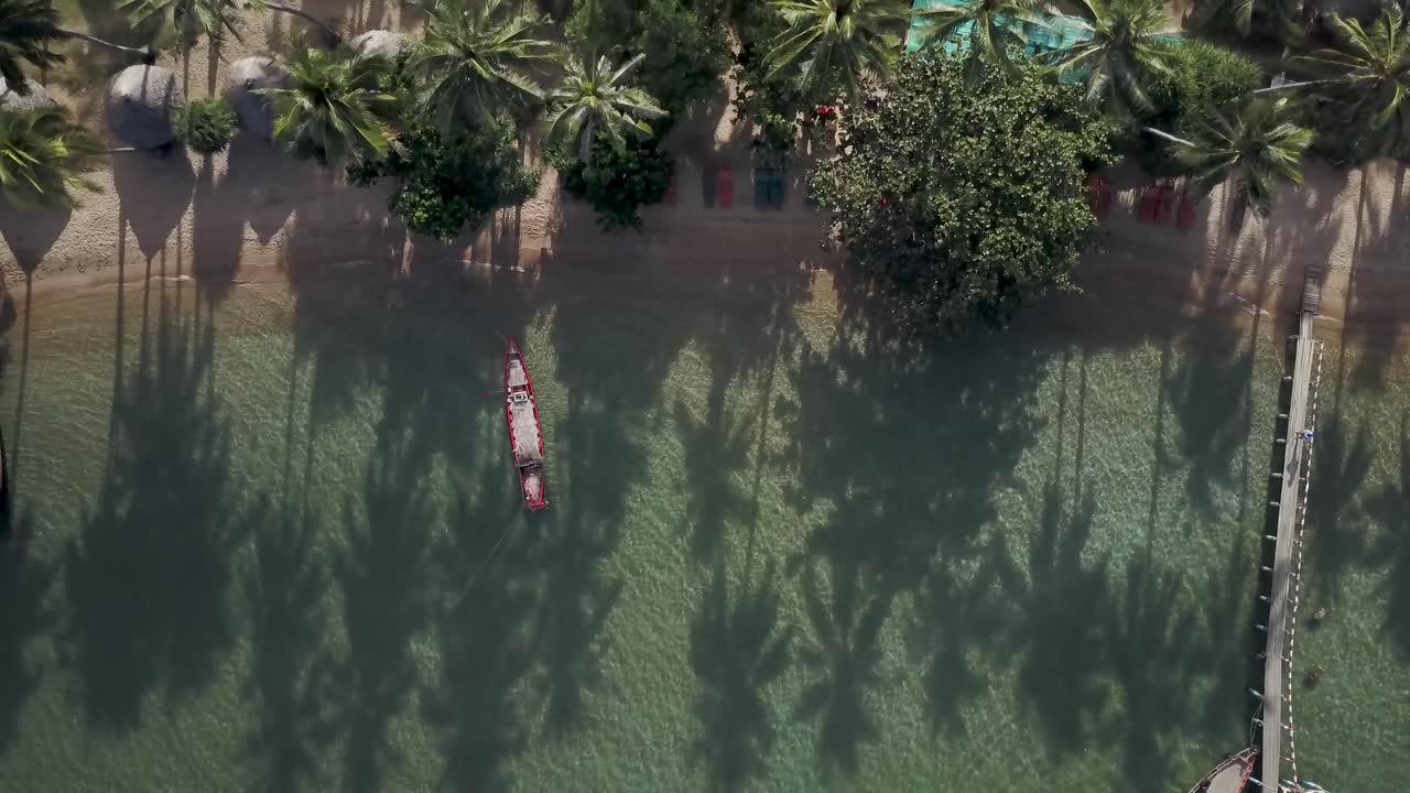 Vista aerea di costa tropicale