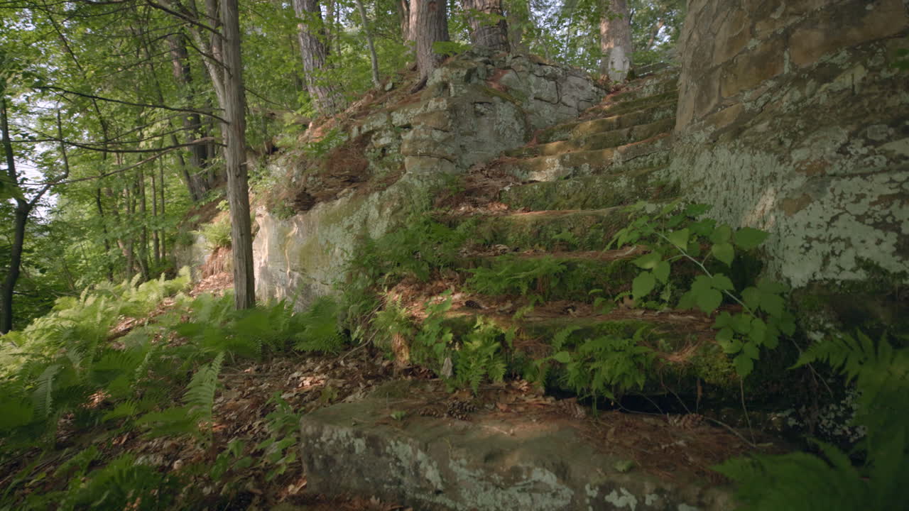 lentamente subiendo la escalera de ladrillo cubierta de musgo en el bosque