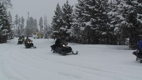 snowmobiles move through a forest scene