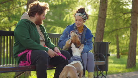 couple relaxing with their dogs on a park bench