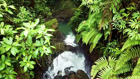 aerial drop in view of rapid river cascading into ecuadorian forest