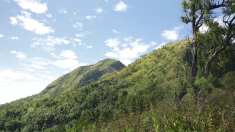 beautiful tropical mountains in east africa covered in lush jungle