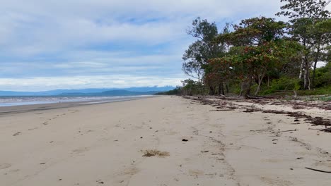 aerial view of a serene beach in port douglas, showcasing sandy shores and lush greenery under a cloudy sky